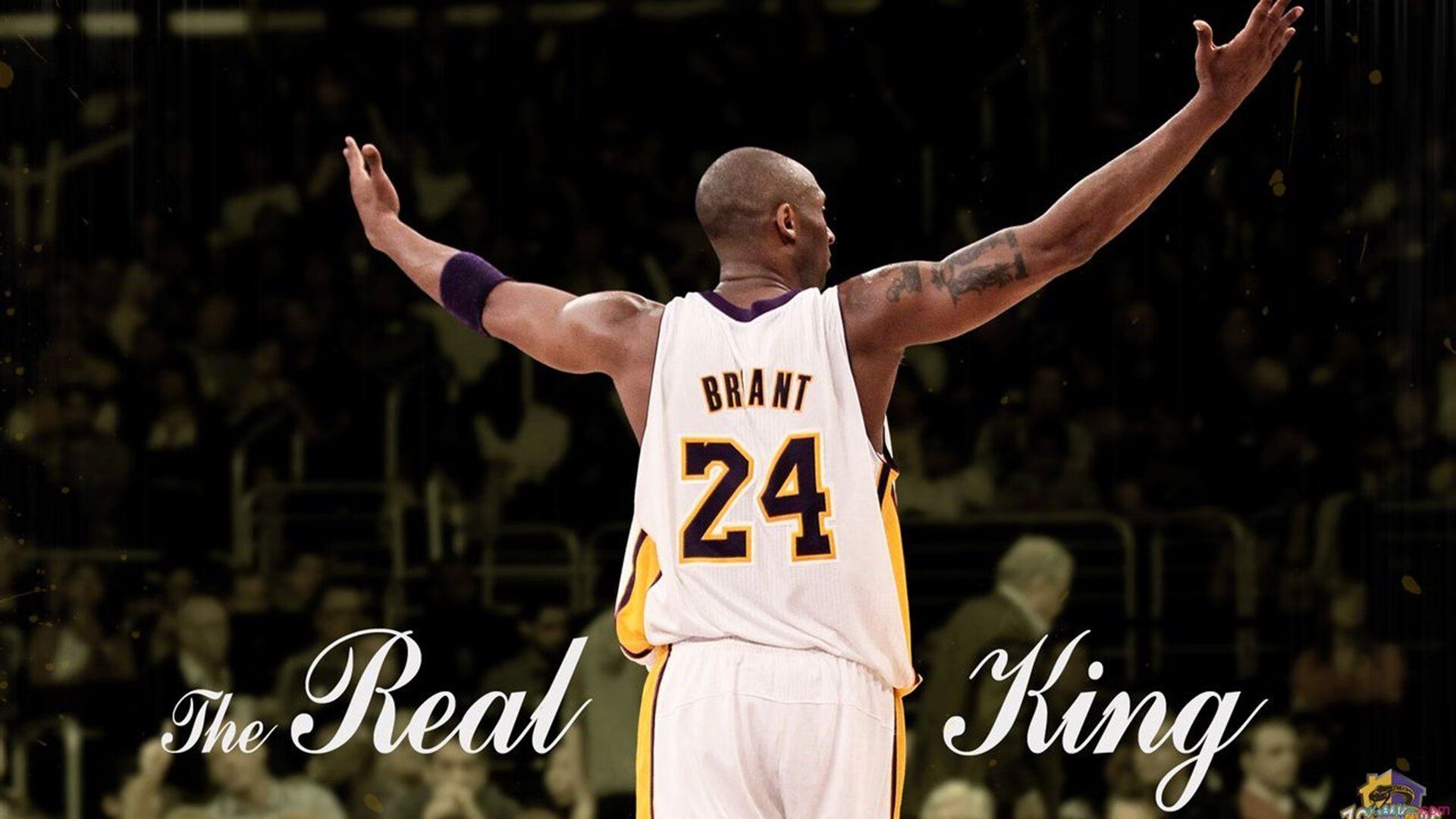 开云入口-东契奇赛事官方发布逆转新规，IG争议不断！